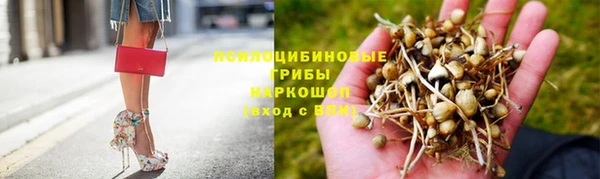 индика Алексеевка
