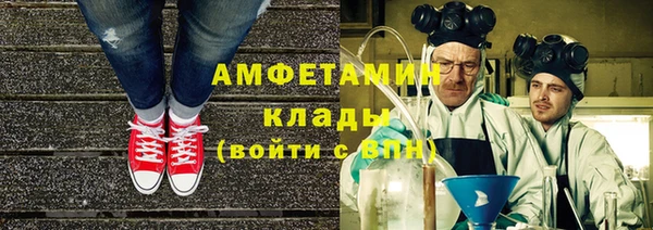 индика Алексеевка
